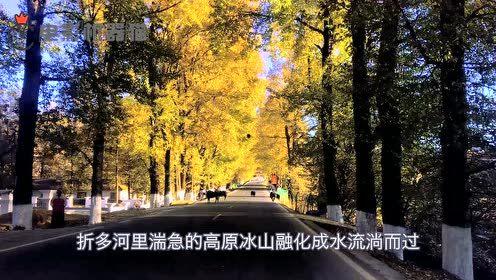 娱乐吃瓜君集美,揭秘娱乐圈那些不为人知的幕后故事